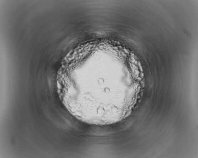 X0000114200181200911061432