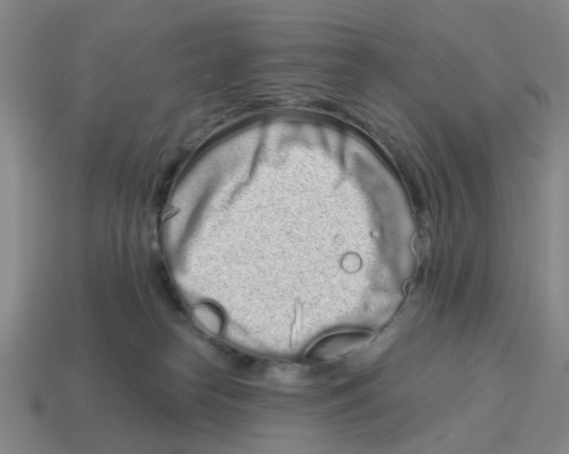 X0000114200182200911061432