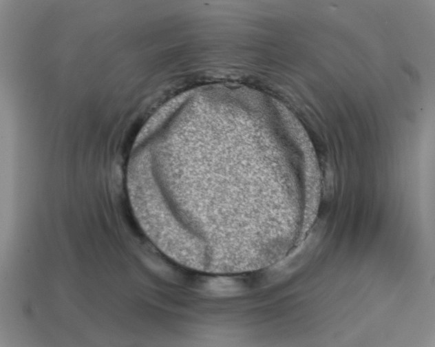 X0000114200183200911061432