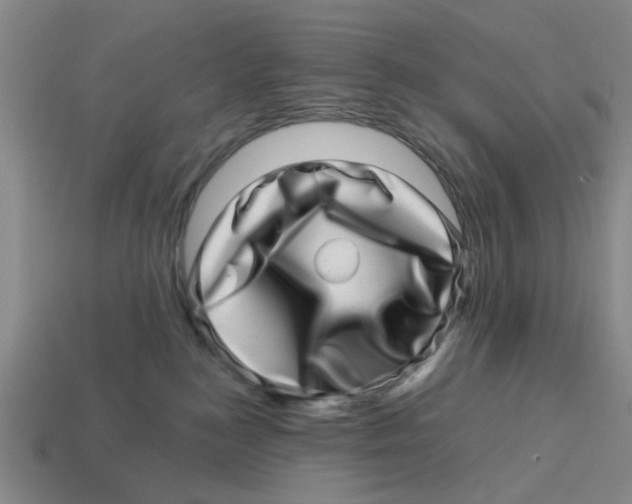 X0000114200184200911061432