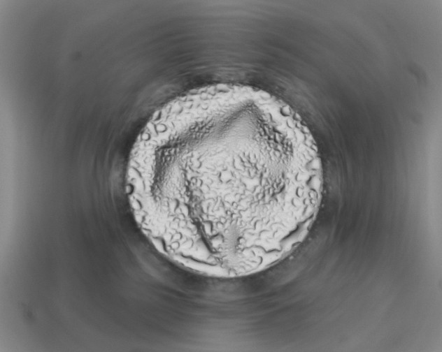 X0000114200185200911061432