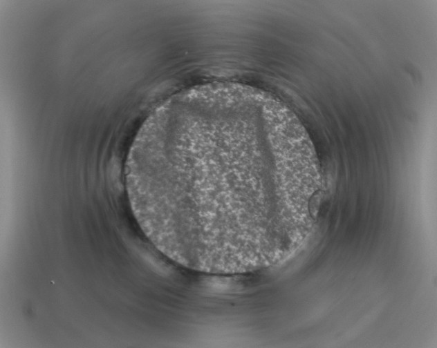 X0000114200187200911061432