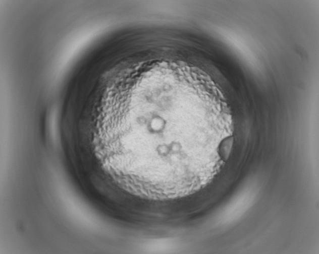 X0000114200189200911061432