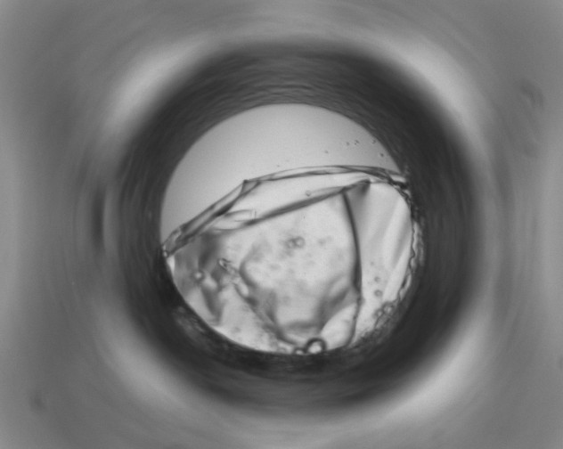 X0000114200190200911061432