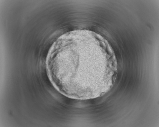 X0000114200191200911061432