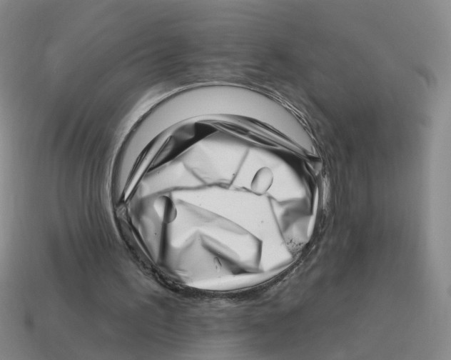 X0000114200195200911061431