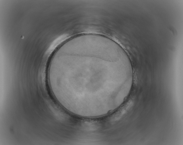 X0000114200199200911061431