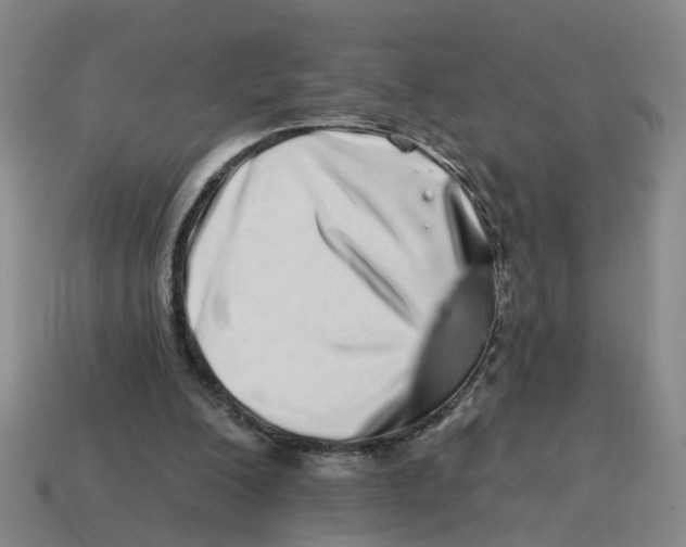 X0000114200200200911061431