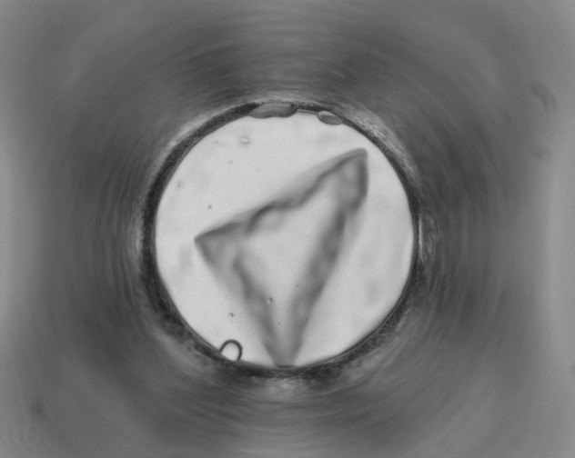 X0000114200204200911061431