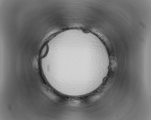 X0000114200207200911061431