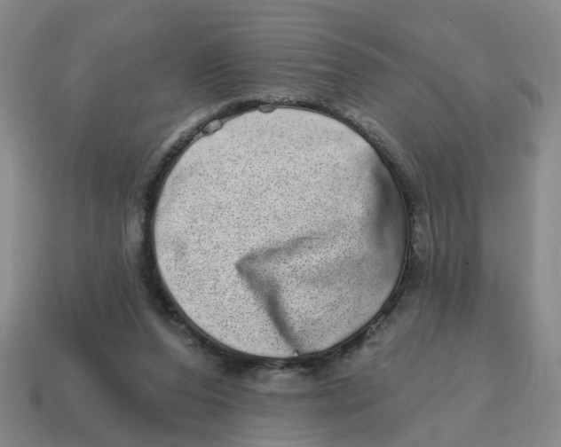 X0000114200208200911061431