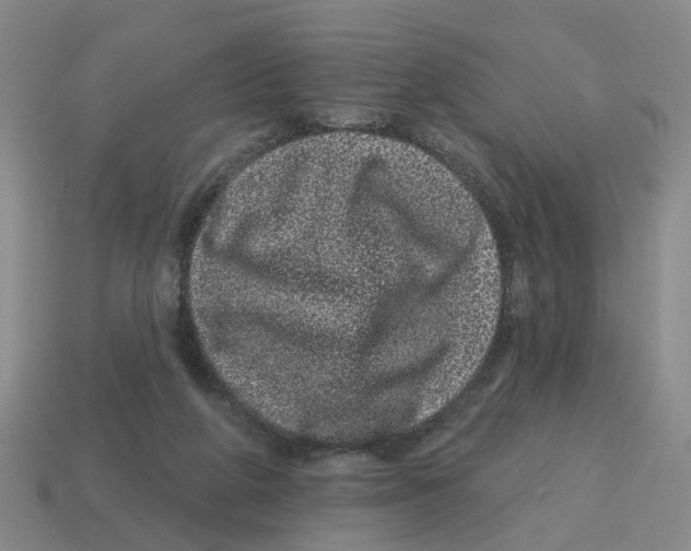 X0000114200210200911061431