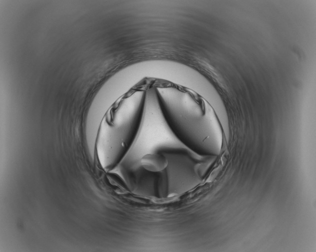 X0000114200213200911061431