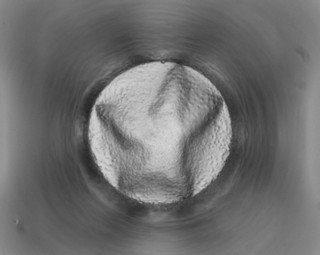 X0000114200214200911061431