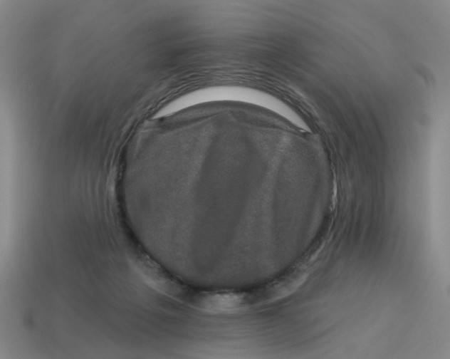 X0000114200217200911061431