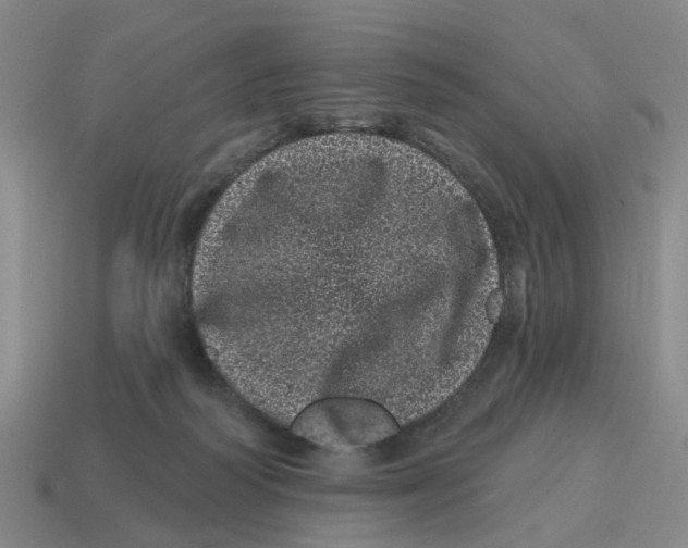 X0000114200218200911061431