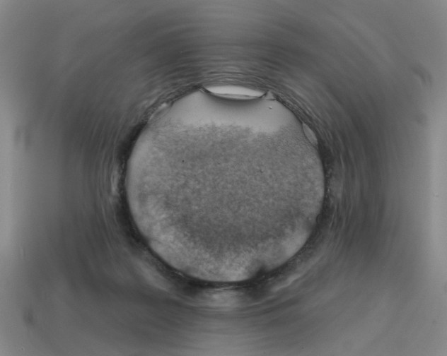 X0000114200219200911061431