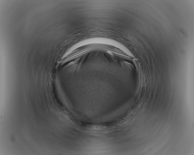 X0000114200223200911061431