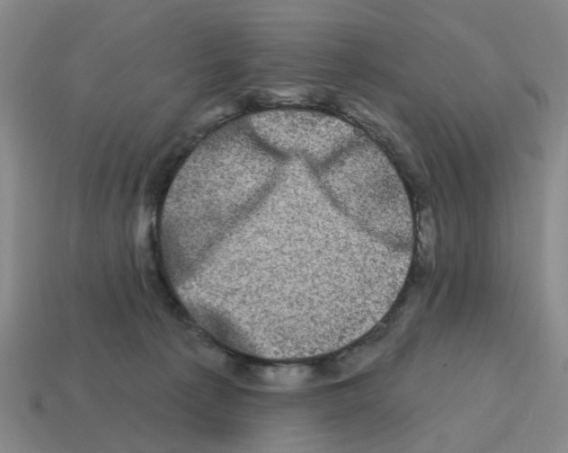 X0000114200225200911061431