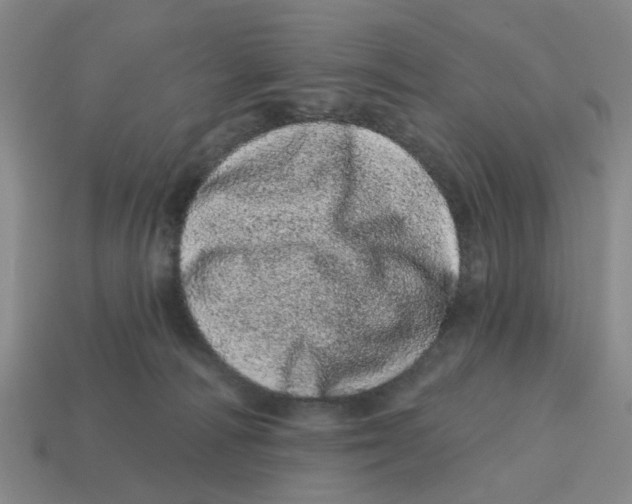 X0000114200226200911061431