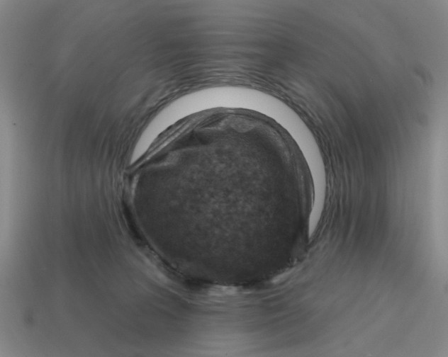 X0000114200227200911061431