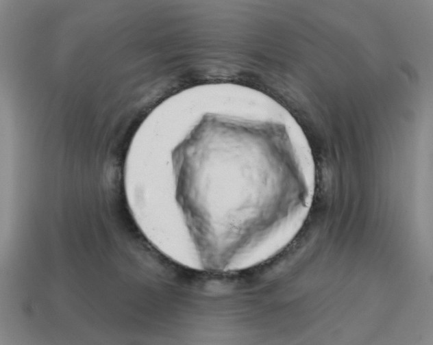 X0000114200228200911061431