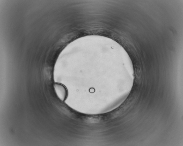 X0000114200232200911061431