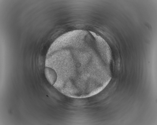 X0000114200234200911061431