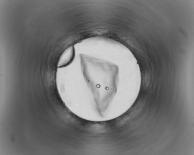 X0000114200236200911061431