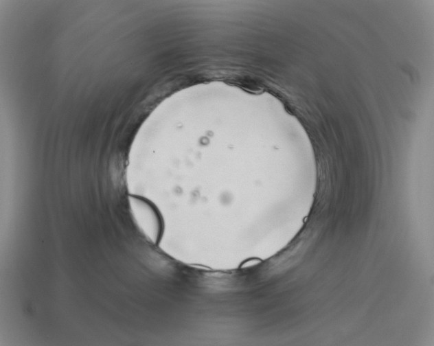 X0000114200240200911061431