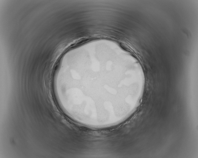 X0000114200241200911061430