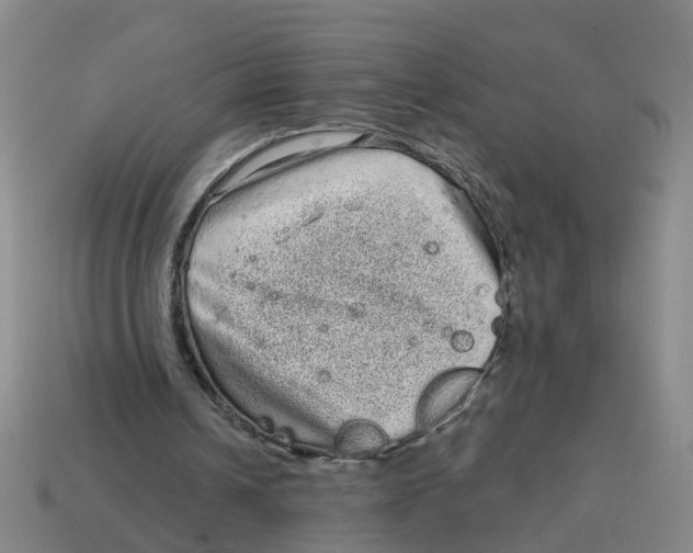 X0000114200242200911061430