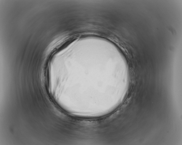 X0000114200245200911061430