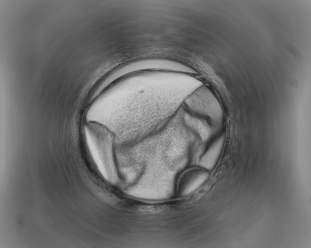 X0000114200250200911061430