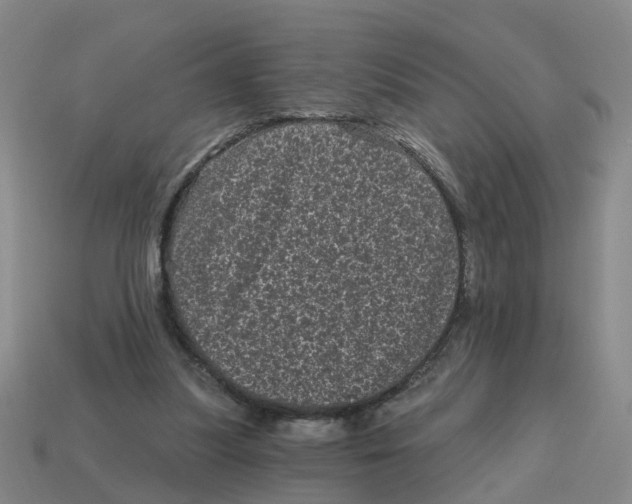 X0000114200251200911061430