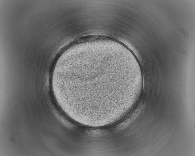 X0000114200253200911061430