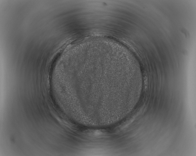 X0000114200254200911061430