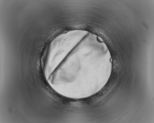 X0000114200259200911061430