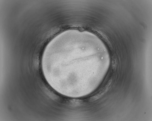 X0000114200261200911061430