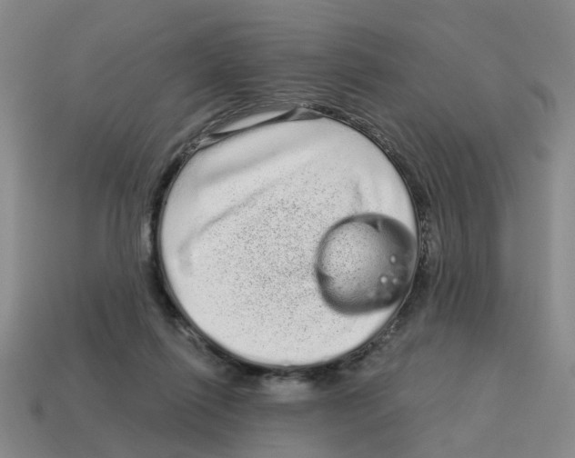 X0000114200262200911061430