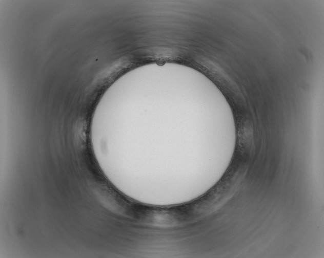 X0000114200264200911061430