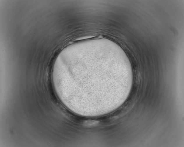 X0000114200266200911061430