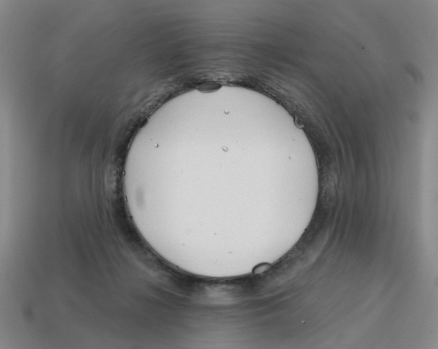 X0000114200268200911061430