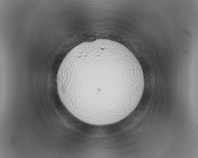 X0000114200272200911061430