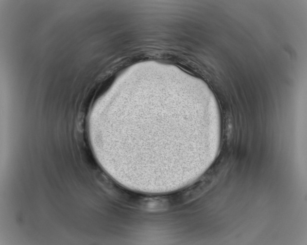 X0000114200275200911061430