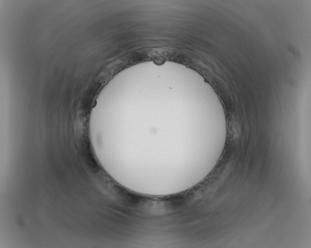 X0000114200276200911061430