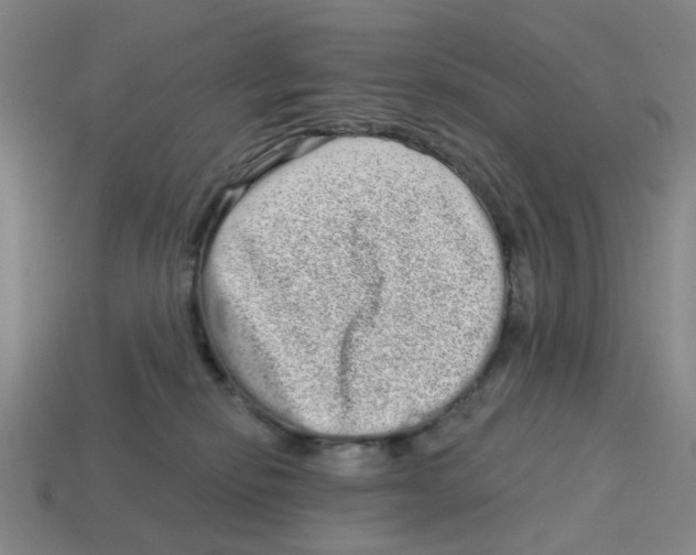 X0000114200278200911061430