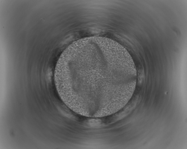 X0000114200279200911061430