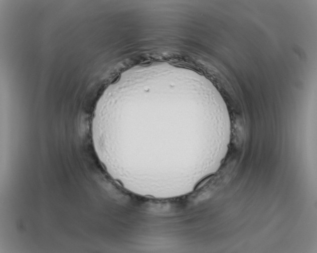 X0000114200284200911061430