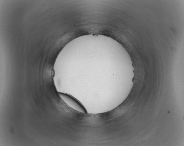 X0000114200288200911061431